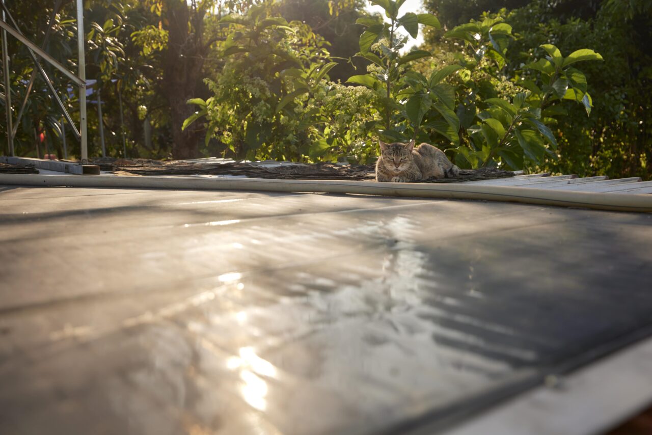 mm433 221113 alfons 25 min