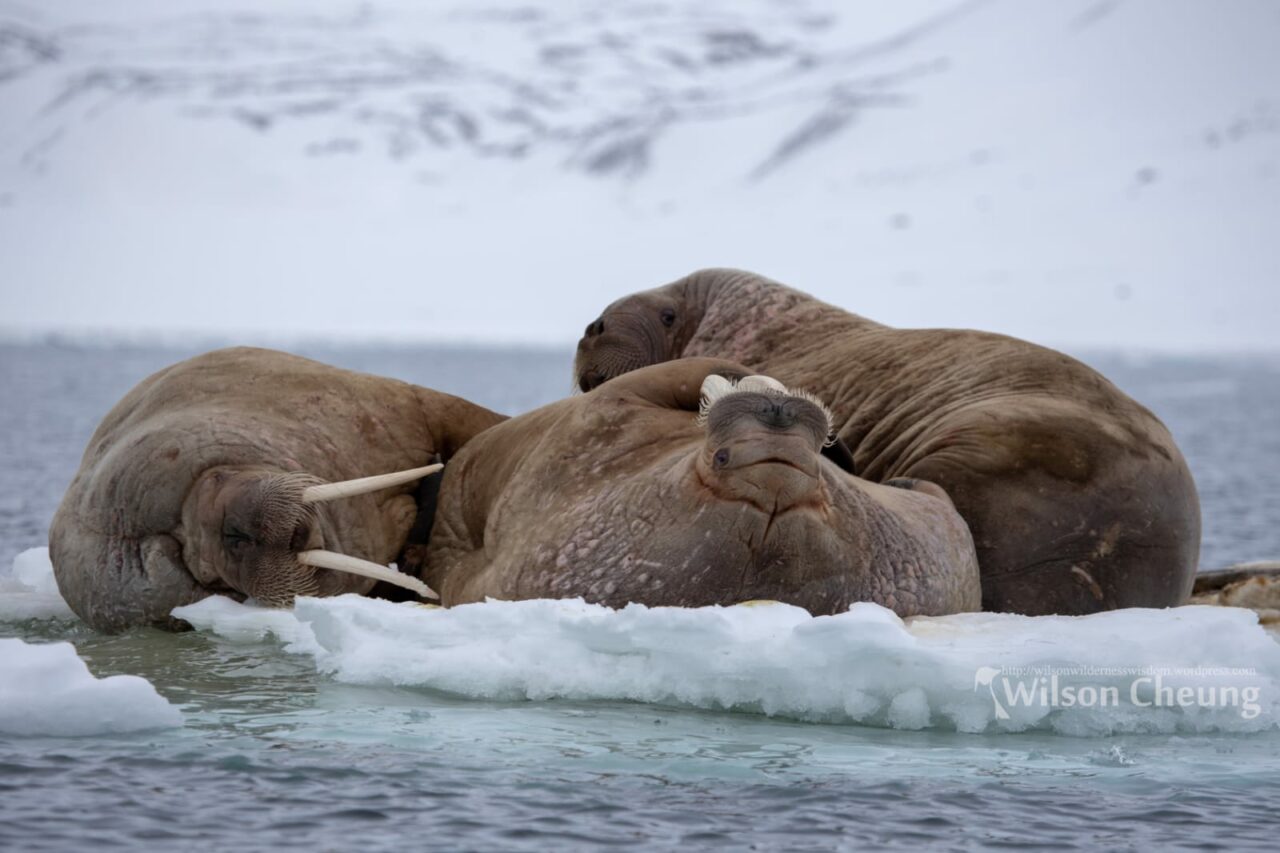 whatsapp image 2023 11 07 at 1.56.34 pm min