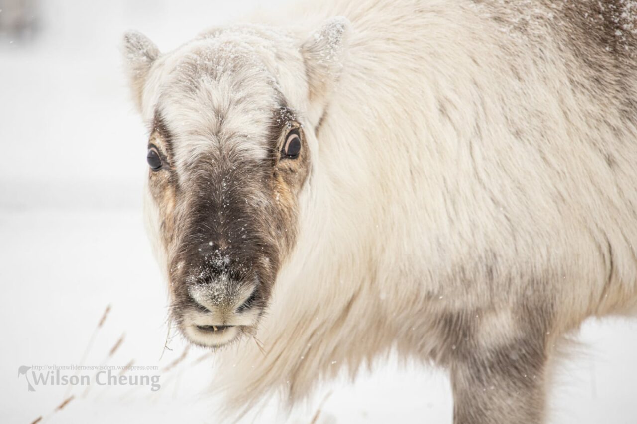 whatsapp image 2023 11 07 at 1.56.35 pm (1) min