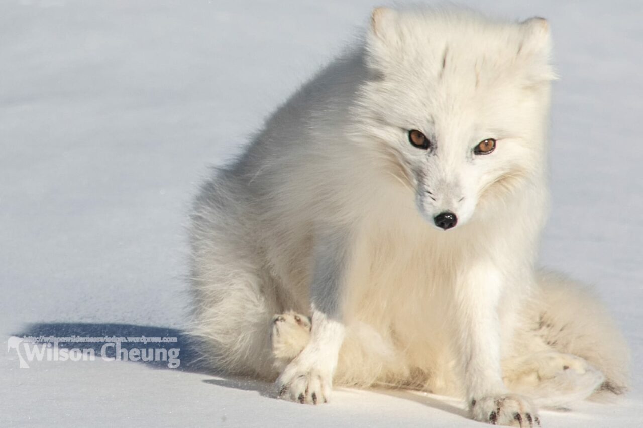 whatsapp image 2023 11 07 at 1.56.35 pm min