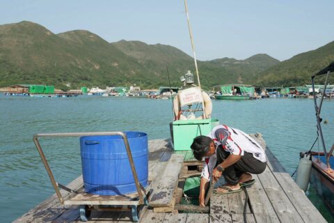 mm811 231125 mark 18 min