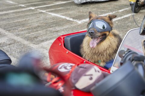 mm812 231130 alfons 8 min