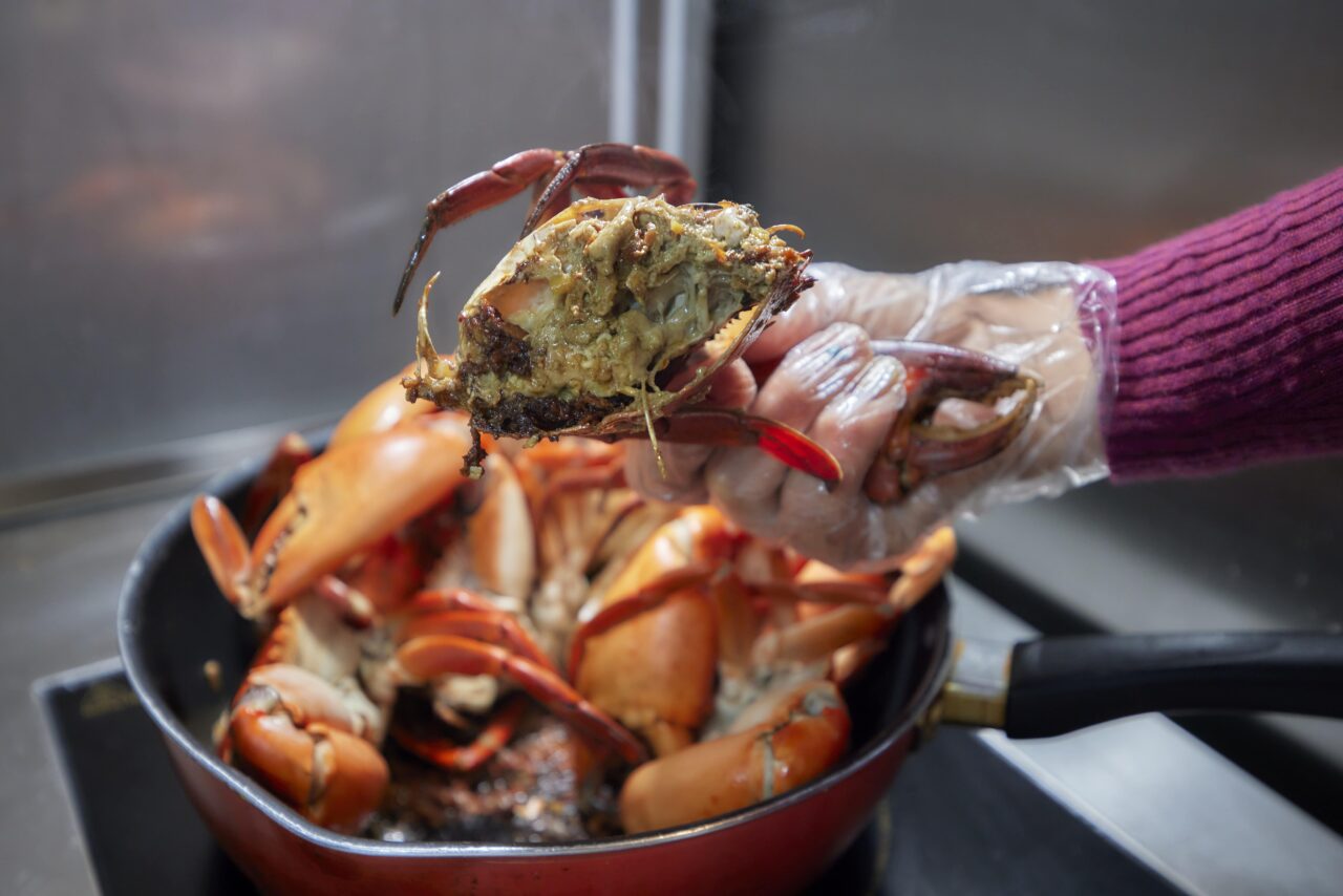 copy of mm840 240122 alfons 96 (1) min