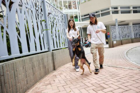 mm906 240325 alfons 7