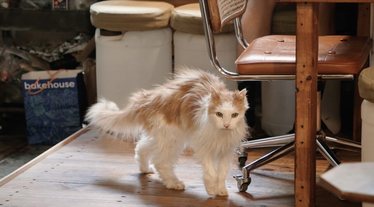 螢幕截圖 2024 07 21 上午1.05.35 min